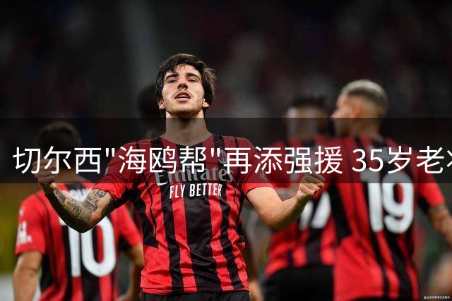 切尔西"海鸥帮"再添强援 35岁老将维尔贝克加盟引更衣室化学反应