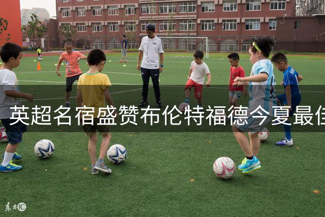 英超名宿盛赞布伦特福德今夏最佳引援