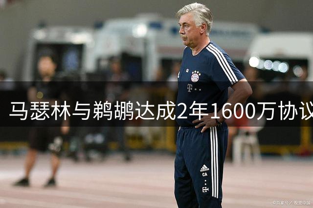 马瑟林与鹈鹕达成2年1600万协议 含第二年球员选项